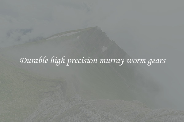 Durable high precision murray worm gears