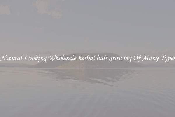 Natural Looking Wholesale herbal hair growing Of Many Types