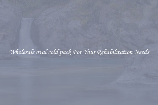 Wholesale oval cold pack For Your Rehabilitation Needs
