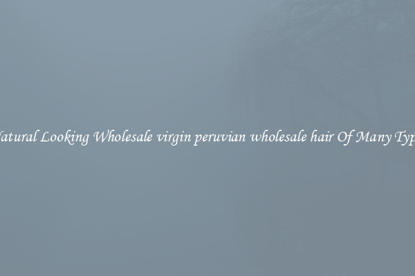 Natural Looking Wholesale virgin peruvian wholesale hair Of Many Types
