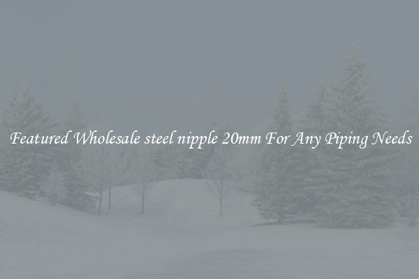 Featured Wholesale steel nipple 20mm For Any Piping Needs
