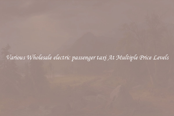 Various Wholesale electric passenger taxi At Multiple Price Levels