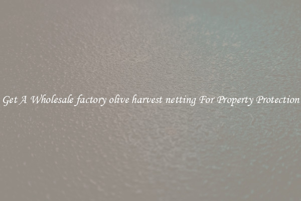 Get A Wholesale factory olive harvest netting For Property Protection