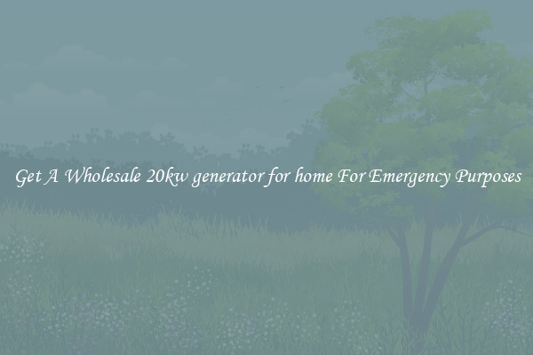 Get A Wholesale 20kw generator for home For Emergency Purposes