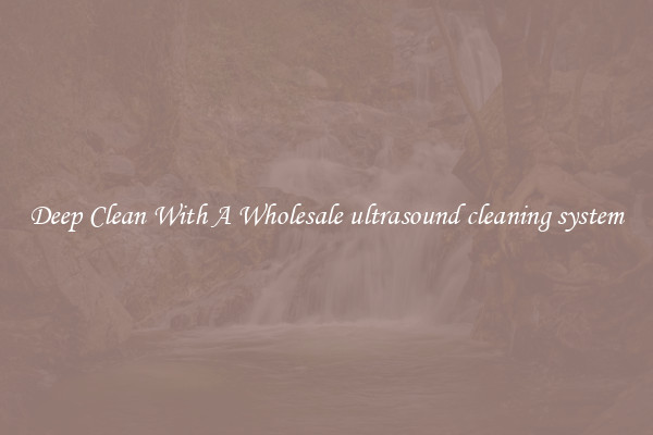 Deep Clean With A Wholesale ultrasound cleaning system
