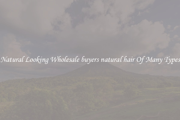 Natural Looking Wholesale buyers natural hair Of Many Types