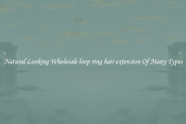 Natural Looking Wholesale loop ring hair extension Of Many Types