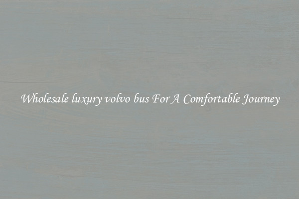 Wholesale luxury volvo bus For A Comfortable Journey