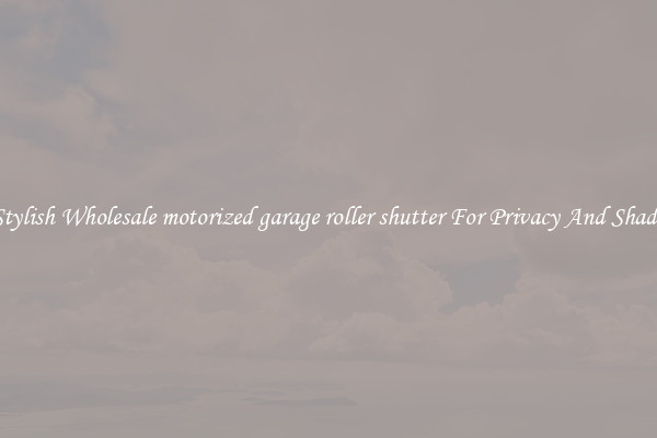 Stylish Wholesale motorized garage roller shutter For Privacy And Shade