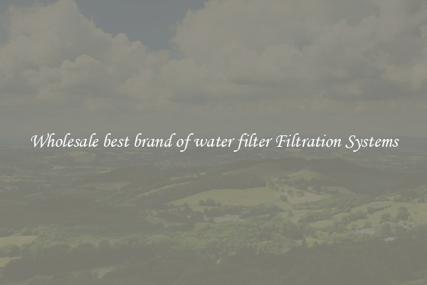 Wholesale best brand of water filter Filtration Systems