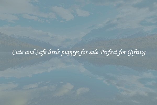 Cute and Safe little puppys for sale Perfect for Gifting