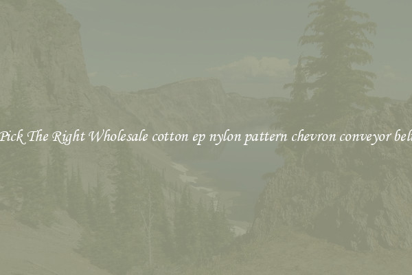 Pick The Right Wholesale cotton ep nylon pattern chevron conveyor belt