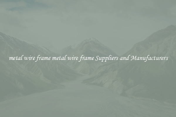 metal wire frame metal wire frame Suppliers and Manufacturers