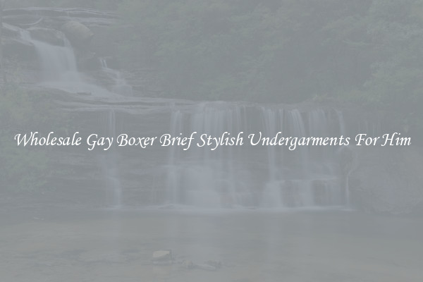 Wholesale Gay Boxer Brief Stylish Undergarments For Him