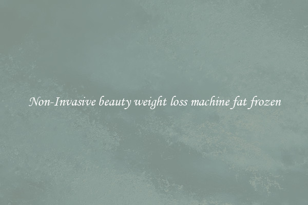 Non-Invasive beauty weight loss machine fat frozen