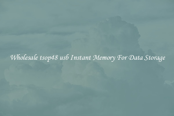 Wholesale tsop48 usb Instant Memory For Data Storage